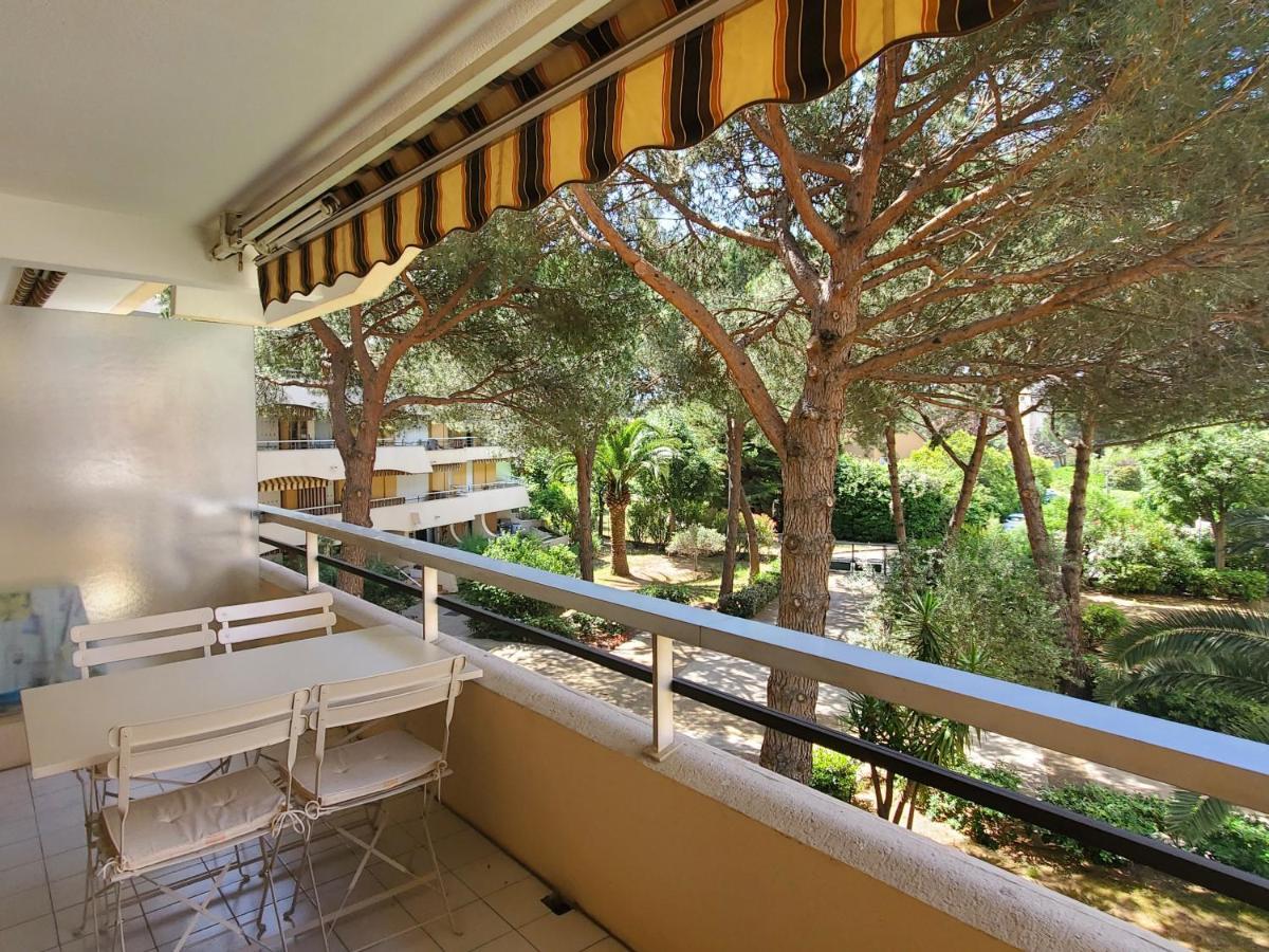 Appartement Miougrano 25m2 Piscine 300m *